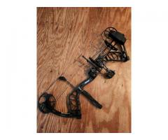 Bear Species EV RTH Compound Bow Right Hand