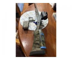 Stevens 301 410 turkey gun