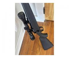 Remington 783 in 308 New