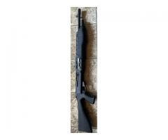 Franchi spas 12