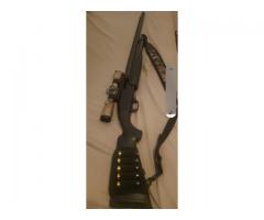 Turkey/yote gun trade
