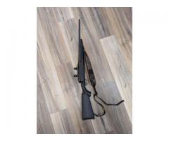 Savage Axis .243