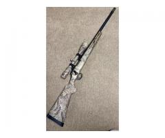 Remington 700 22-250