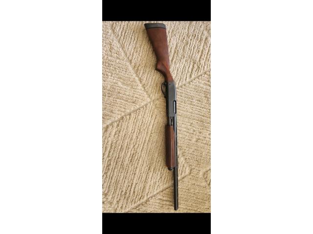 Image 1 / 1