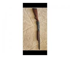 Remington 870 20ga compact