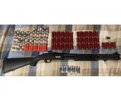 Mossberg 590s and ammo