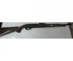 Remington Nylon 66
