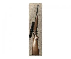 30-30 bolt