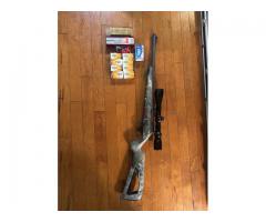 winchester semi 22