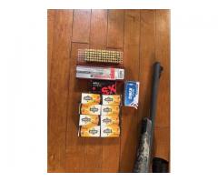winchester semi 22