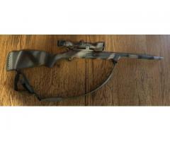 17 HMR single shot