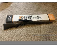Henry 360 Buckhammer