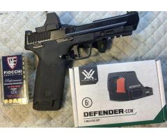 M & P 22 mag