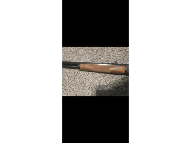 Image 4 / 4