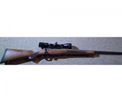 Mossberg patriotic 25-06