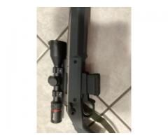 2 guns
