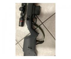 2 guns