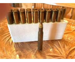 Remington ACCELERATOR 30-06 SPRINGFIELD AMMO CENTER FIRE CARTRIDGES 55 GR. R30069