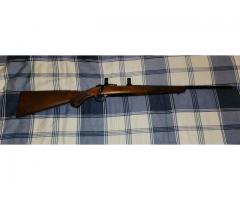 Ruger m77 22 cal