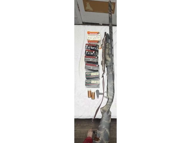 Image 2 / 3