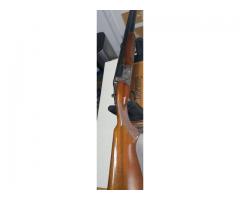 Diarm itziarover under 12 gauge