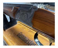 Diarm itziarover under 12 gauge