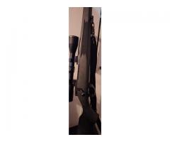 Multiple rifles