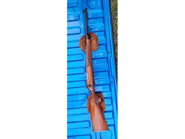 Image 6 / 6