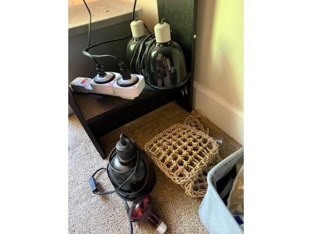Image 3 / 4