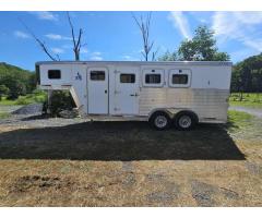 2003 EXISS 3 Horse Slant Trailer