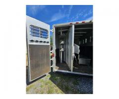 2003 EXISS 3 Horse Slant Trailer