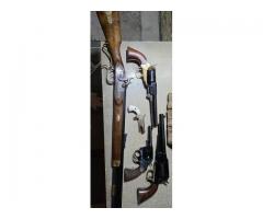 Colt winchester