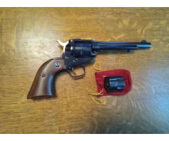 Ruger  .22