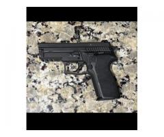 Sig 9mm