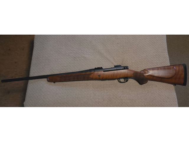 Image 3 / 3