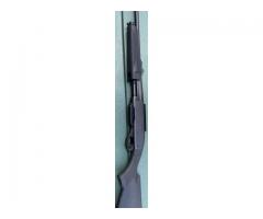 Remington 7600 243