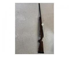 Tikka 243