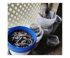 Lead weights