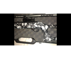 Custom RUGER 10/22 SKULLZ . 22lr