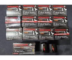 Savage BMAG 17 WSM with ammo