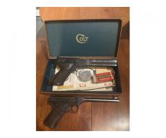 .22 rifle and pistols