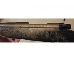 Howa 1500 Fenceline 243