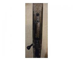 Howa 1500 Fenceline 243