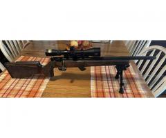 Savage FVSR Boyds stock