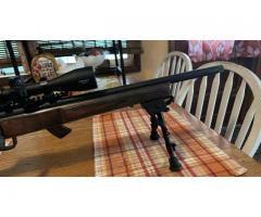 Savage FVSR Boyds stock