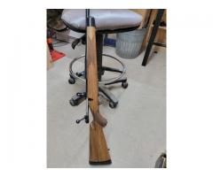 Kimber 308 Walnut M84