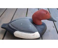 Hen & Drake Pair Canvasback Duck Decoys Made By The Pascagoula Decoy Company 1941-1962