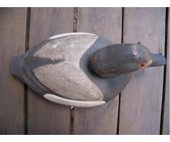 Hen & Drake Pair Canvasback Duck Decoys Made By The Pascagoula Decoy Company 1941-1962