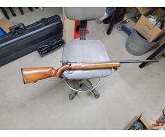 Savage Anschutz mark 10 target 22