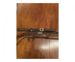 JC Higgins .22